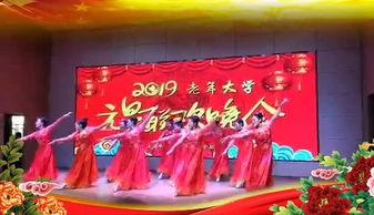 神韵舞蹈视频,穿越时空的古典艺术魅力