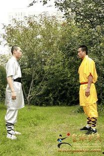 少林擒拿手教学视频,视频教学解析与实战技巧