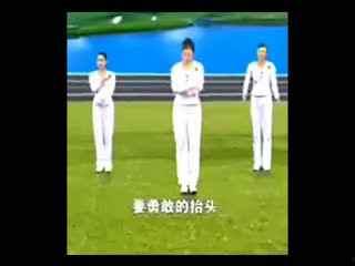 给我几秒钟舞蹈视频,几秒钟舞蹈视频背后的魅力解析